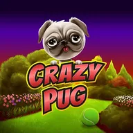 Crazy Pug Logo