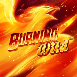 Burning Wild Logo