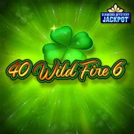 40 Wild Fire 6 Logo