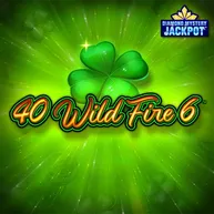 40 Wild Fire 6 Logo