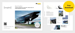 Black Panther Collage