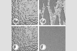 Abbildung mit beispielhaftem Trocknungsprozess bei Standardfarbe (links) und StoColor Dryonic (rechts)