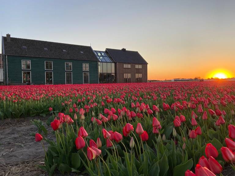 B&B in the Bollenstreek