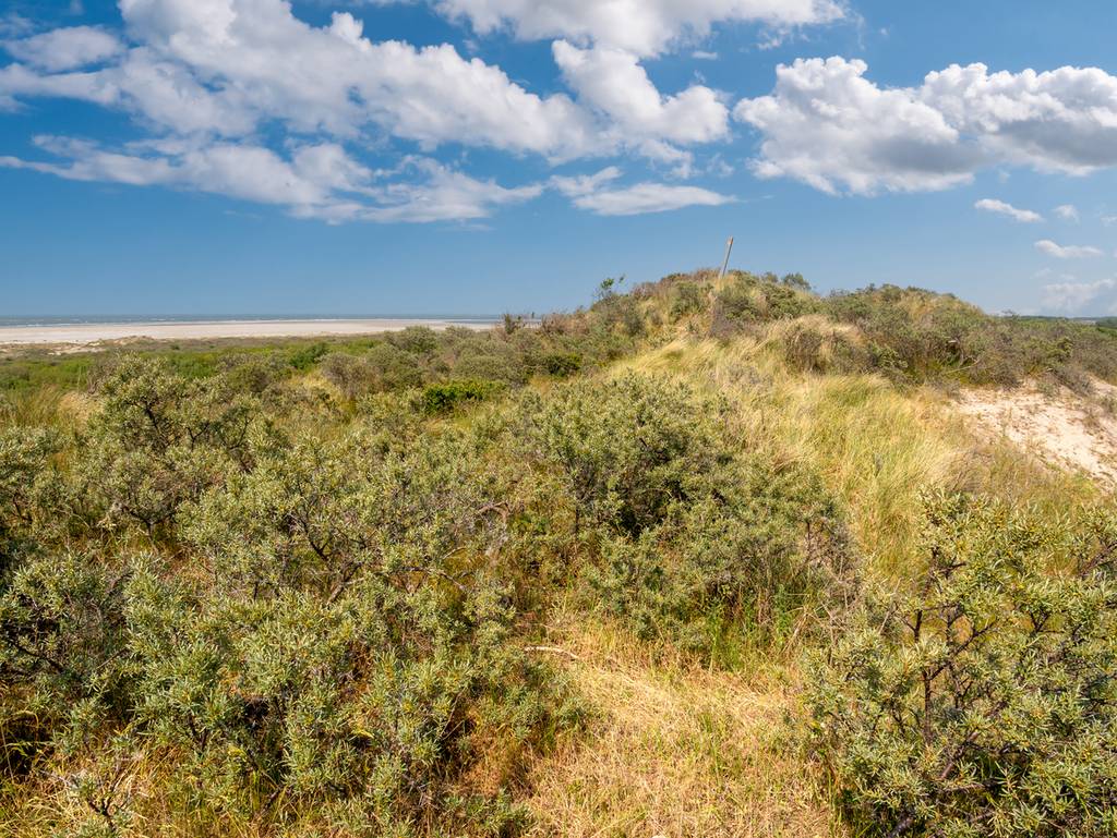  Renesse a beaucoup à offrir