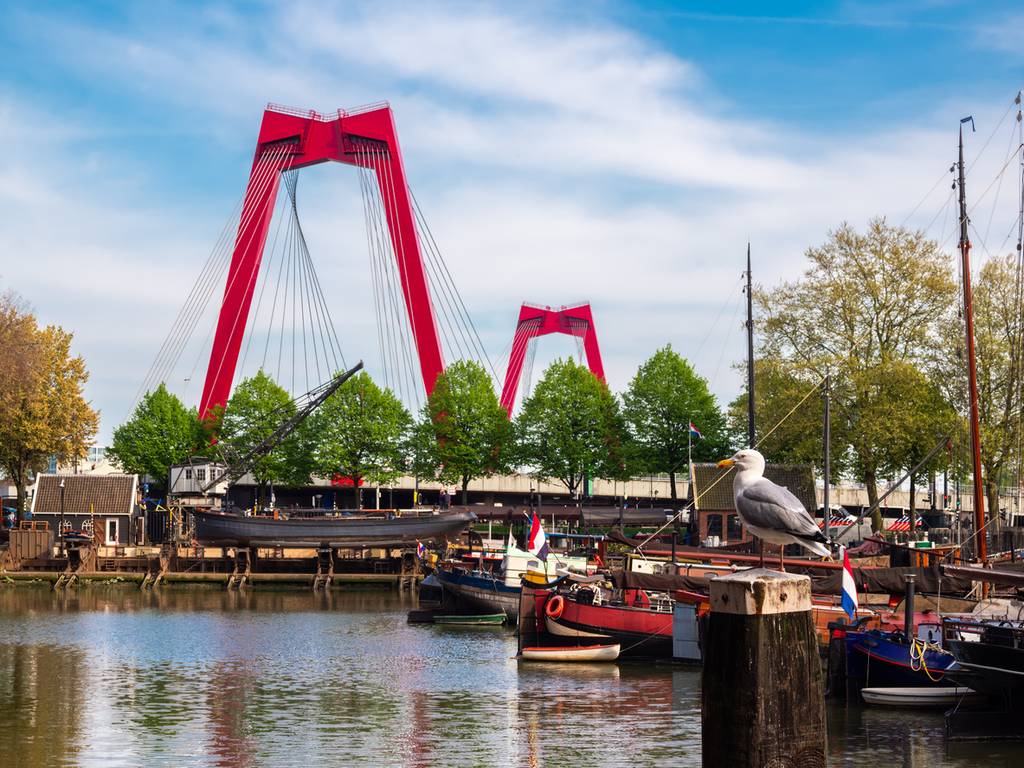 willemsbrug in Rotterdam