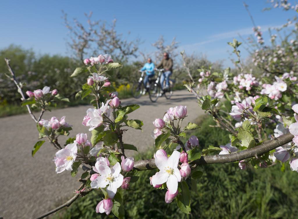 Randonnées à pied et à vélo 