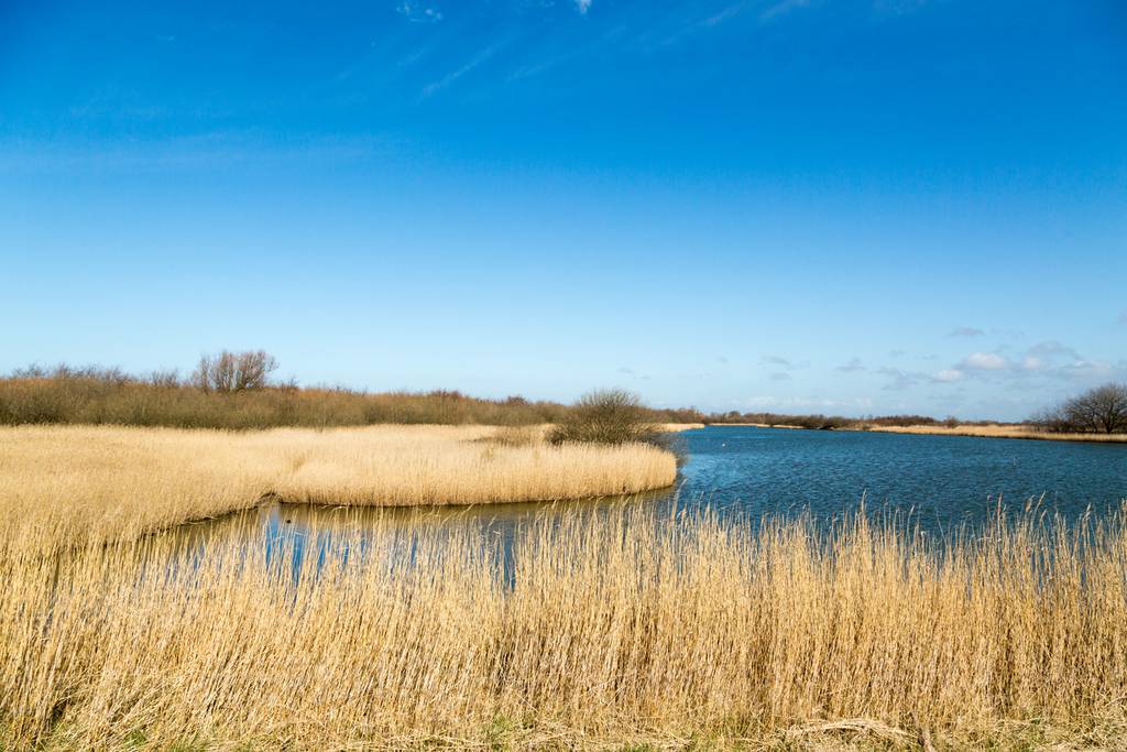Westkapelle: hinter dem Deich