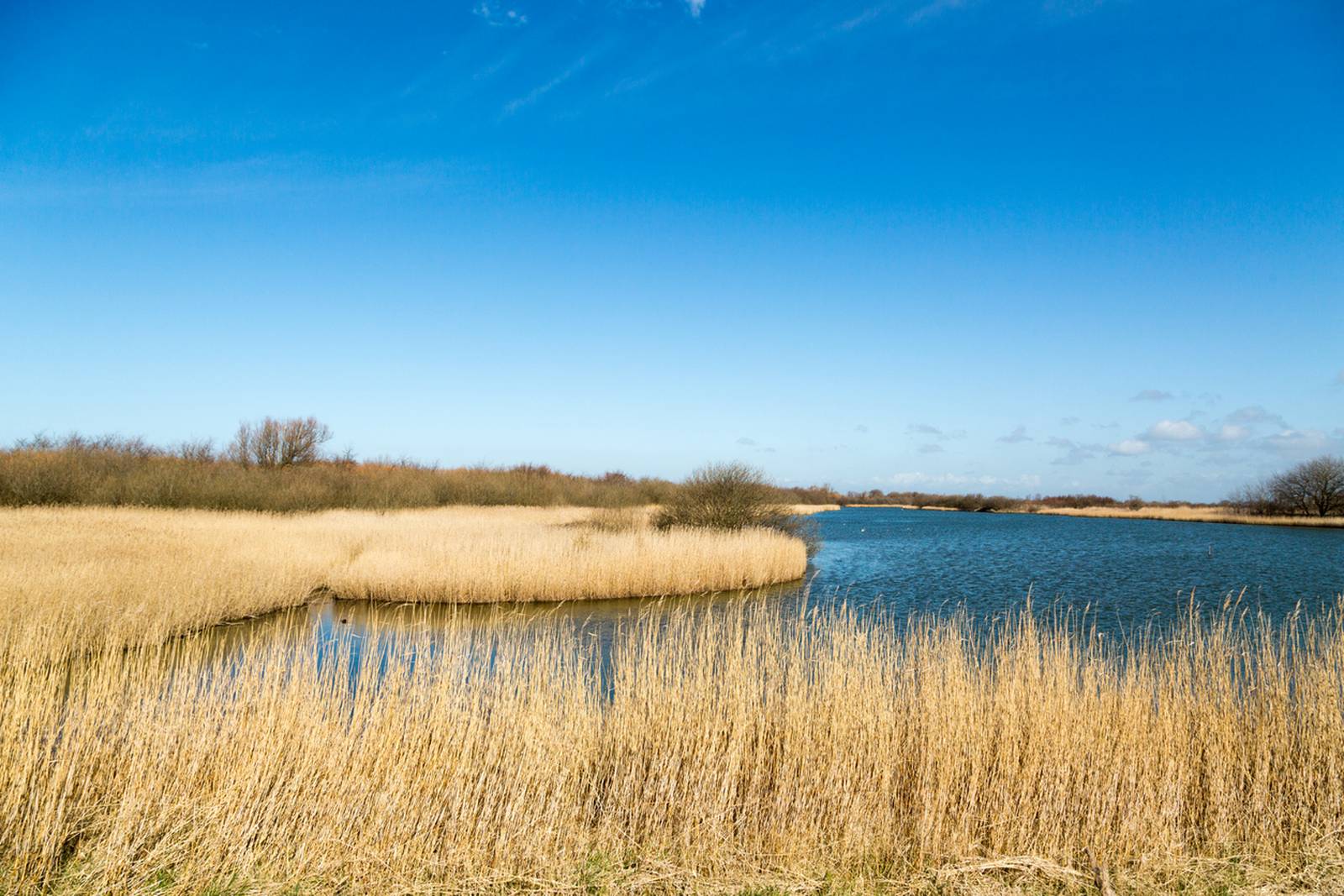 Westkapelle : derrière la digue