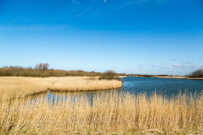 Westkapelle: hinter dem Deich