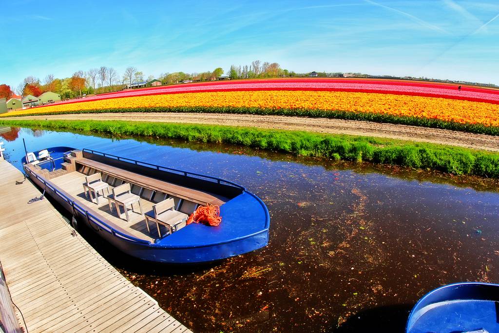 Giro in Barca a Keukenhof