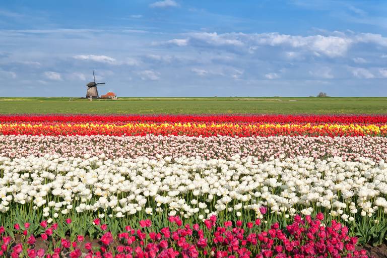 B&B en Alkmaar