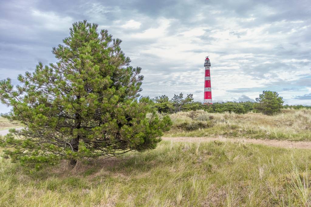 Découvrez les îles des Wadden