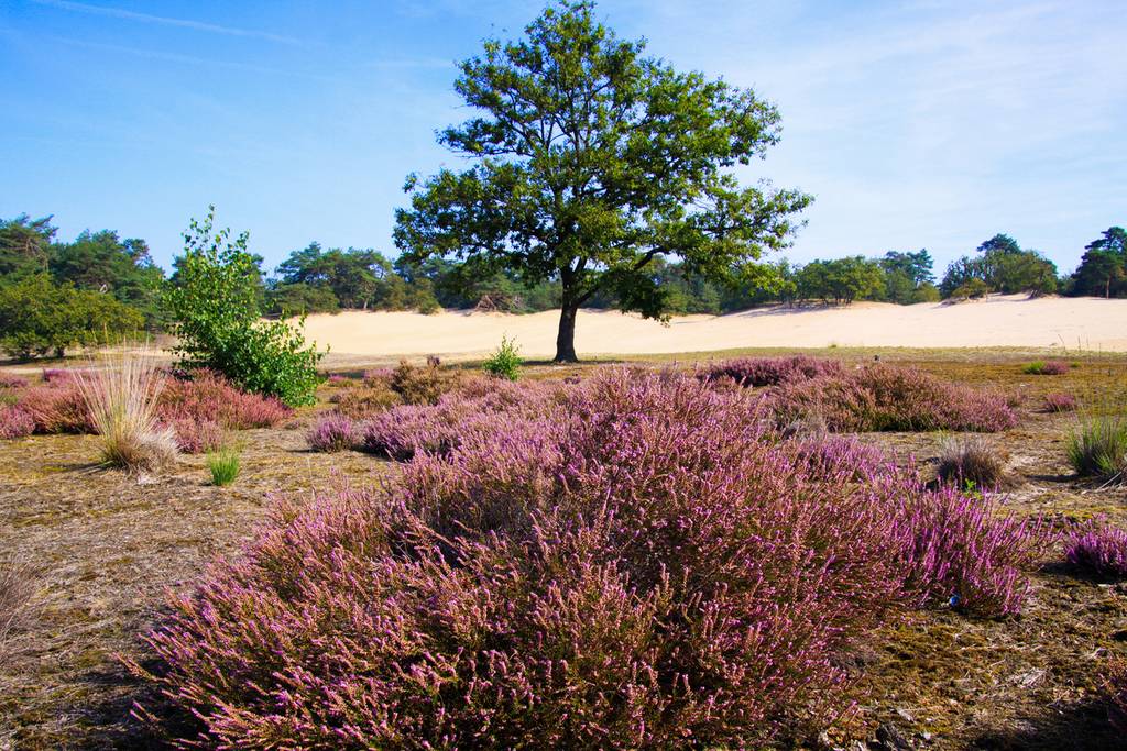 Espaces naturels d'exception