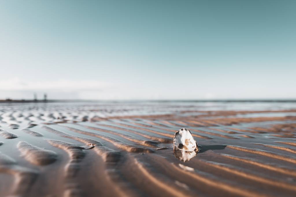 Mar de Wadden