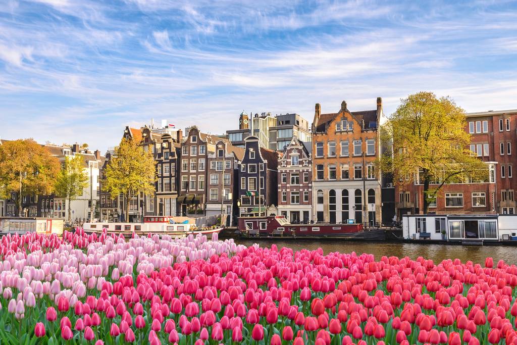 Visita Amsterdam