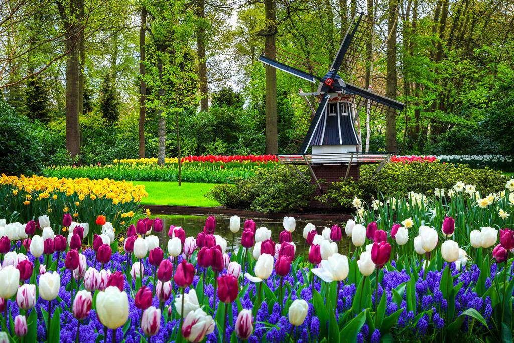 Best B&bs near Keukenhof