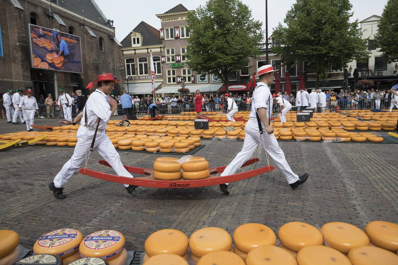  Le traditionnel marché aux fromages d' Alkmaar