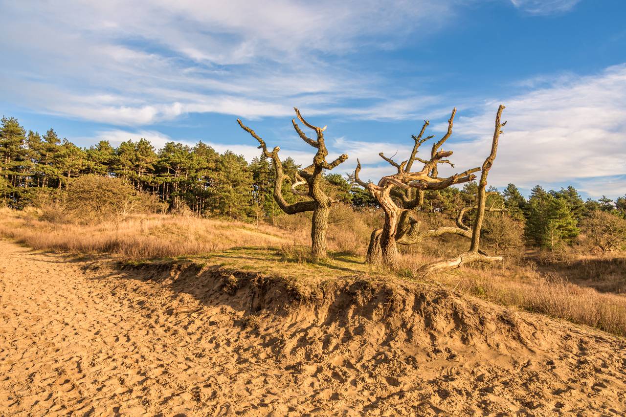 La nature dans les environs