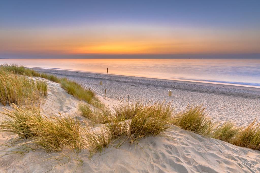Reserva de dunas de Holanda Septentrional