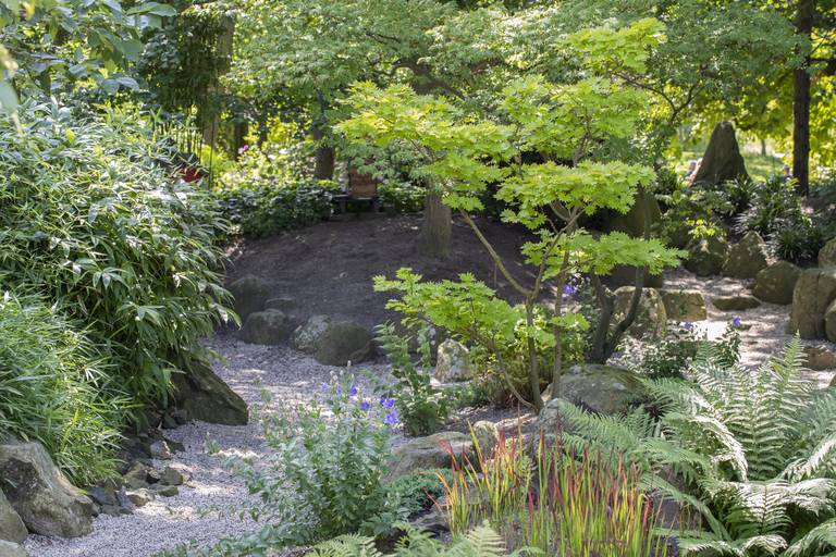 Botanical garden in Leiden