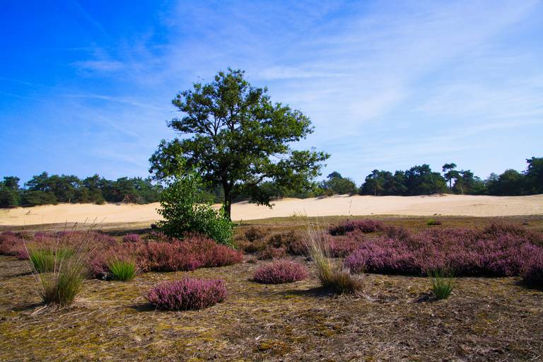  Bellezze naturali