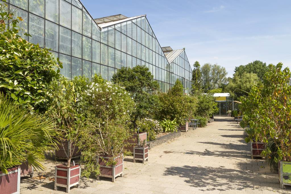 Utrecht botanical garden