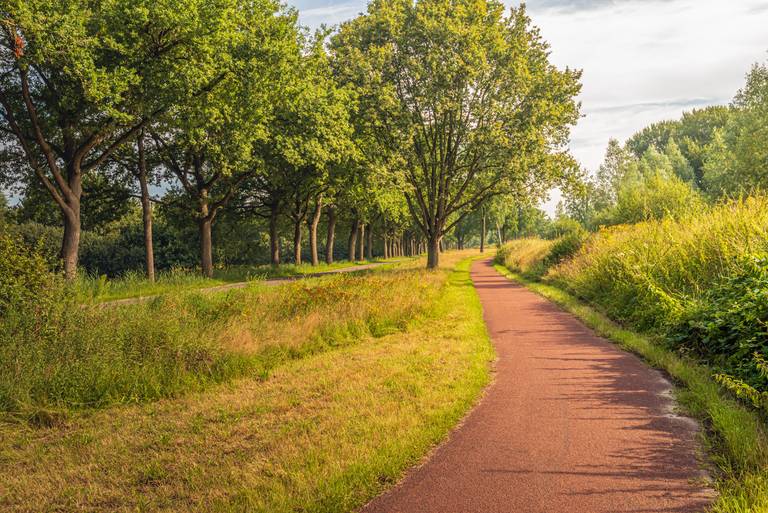 Cycling on the Van Gogh Path