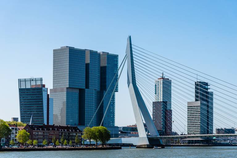 erasmus bridge in Rotterdam