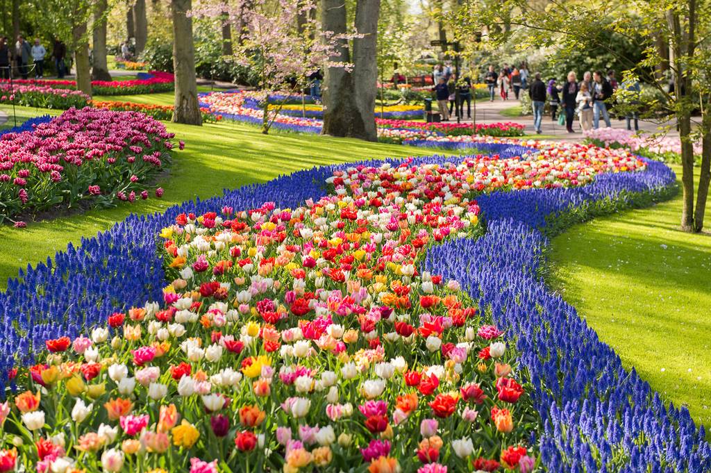 Keukenhof: der schönste Frühlingsgarten der Welt