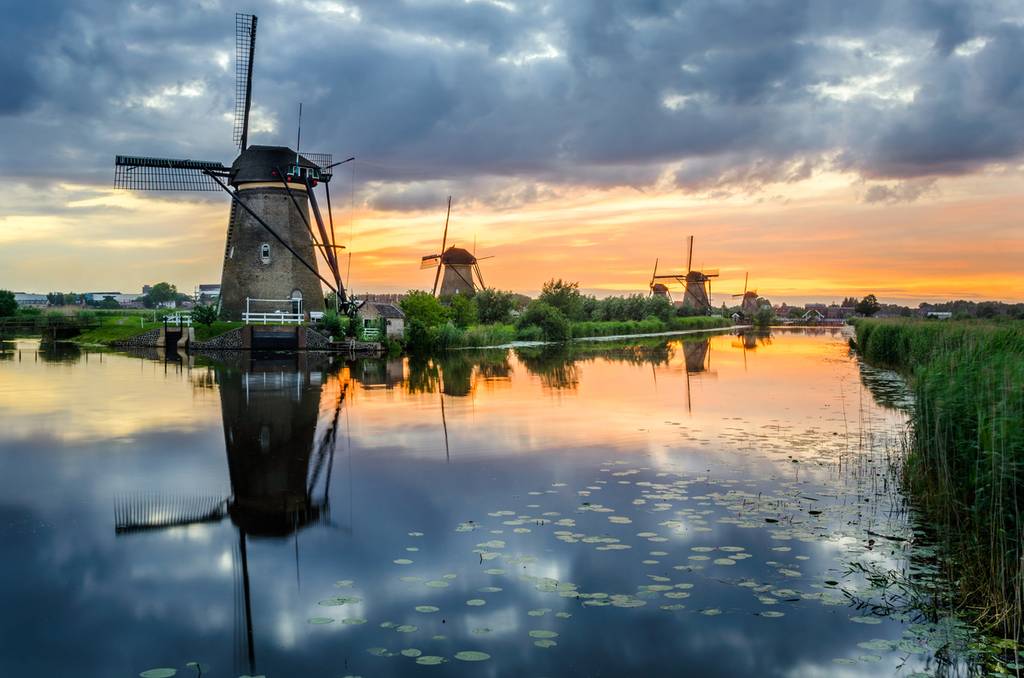 visit kinderdijk in a B&B