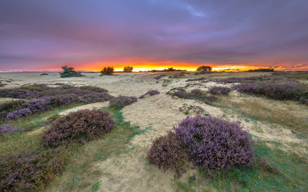 Landscapes of Gelderland