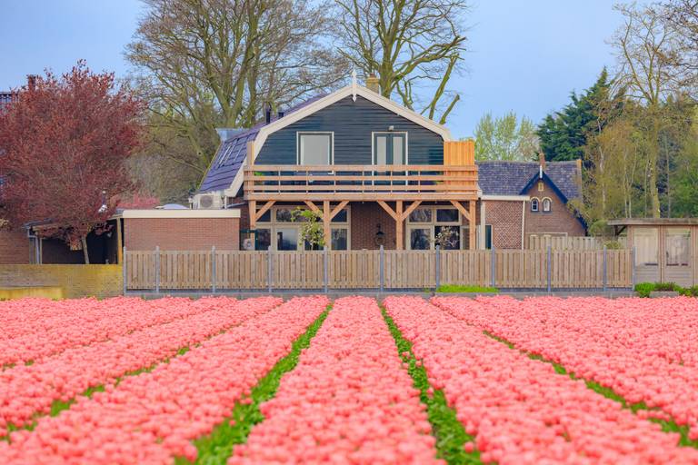 B&B Blossom