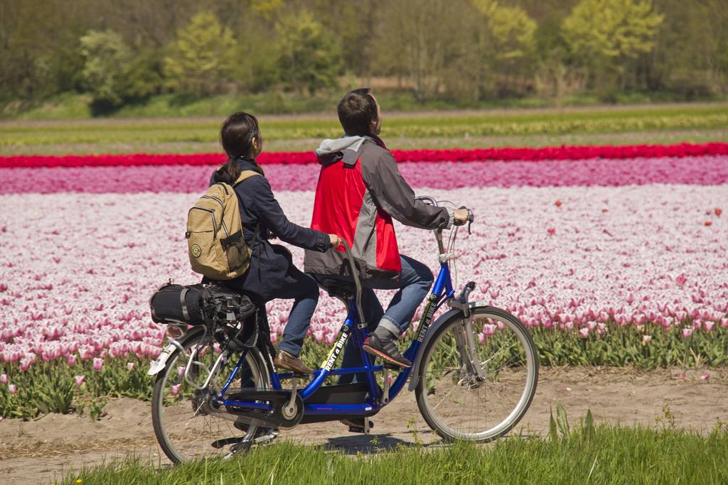 Tour in bicicletta