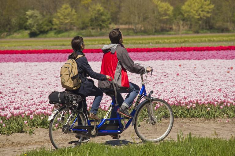 Tour in bicicletta