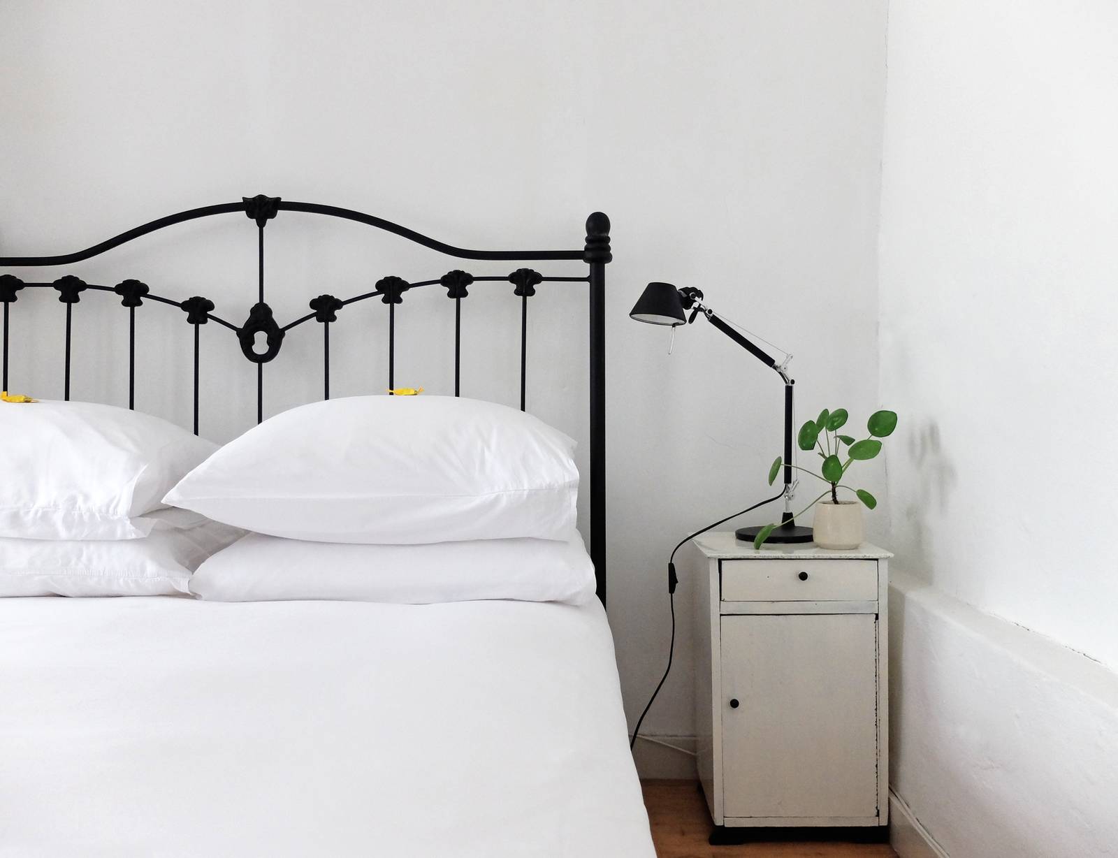 Guesthouse Vannacht - Groningen