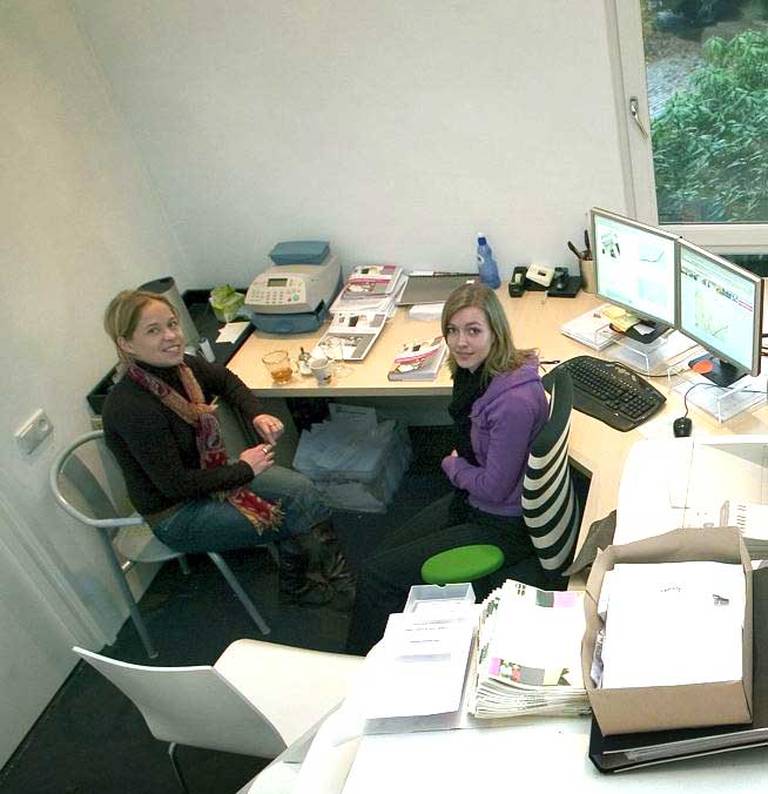 2004