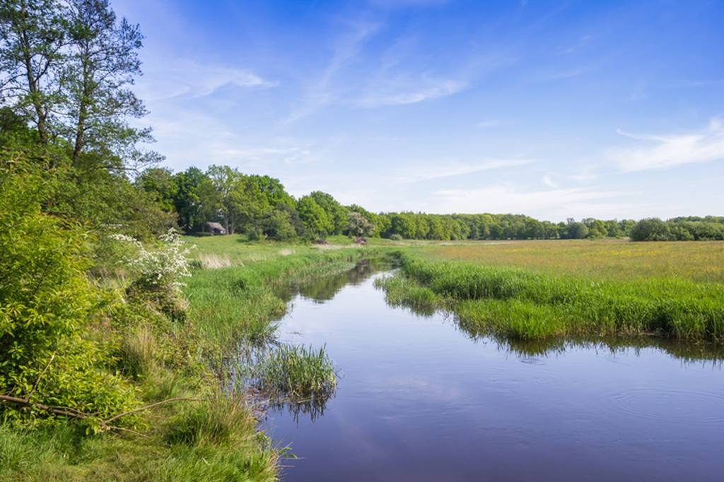 Erholsame Natur