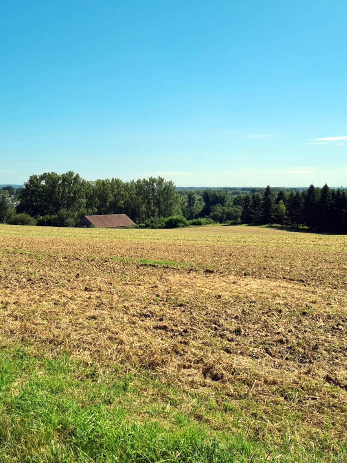 Schöner Ausblick in die Natur beim Wandern rund um Düsseldorf