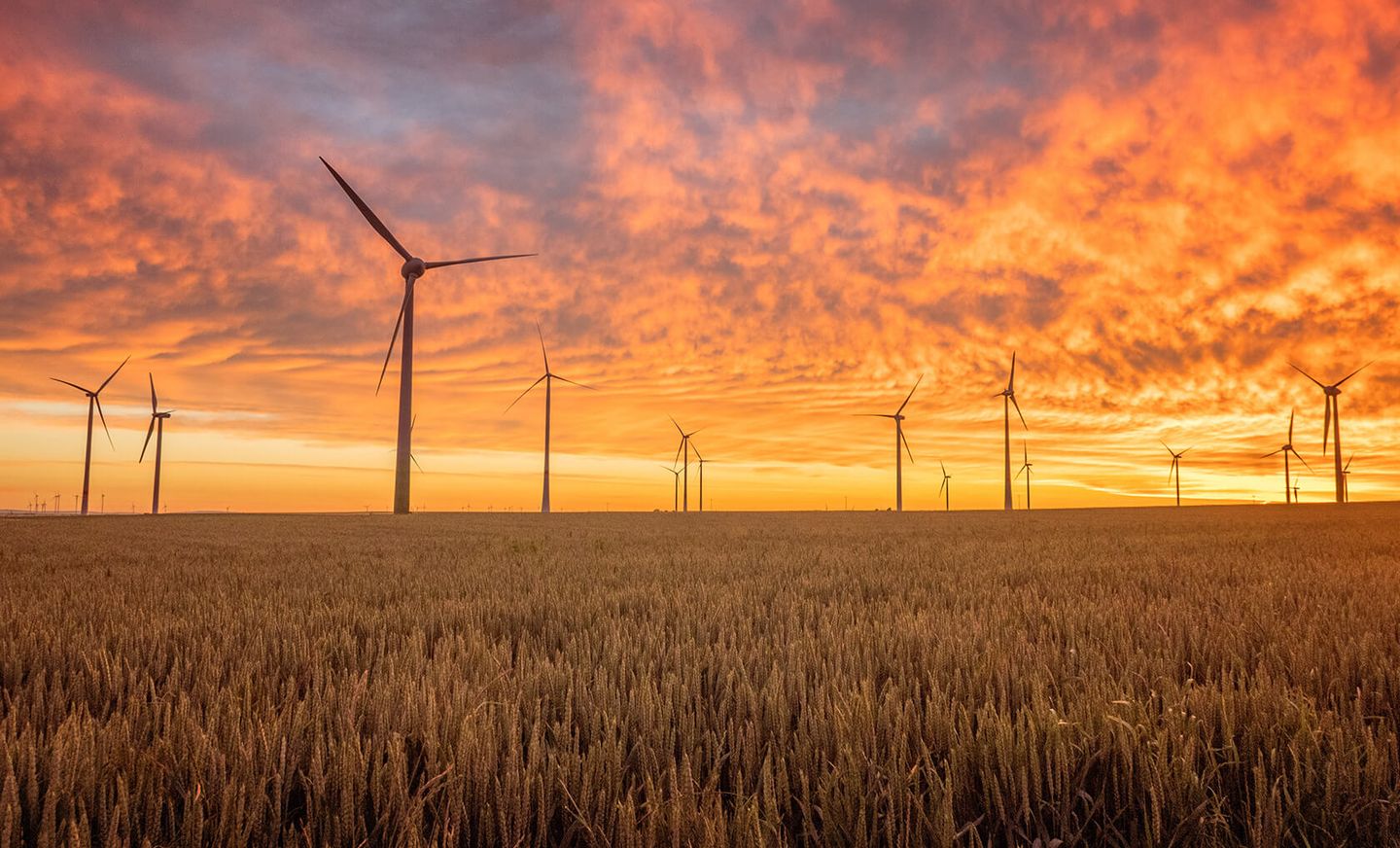 Strom: Windmühlen auf einer Wiese bei Sonnenuntergang