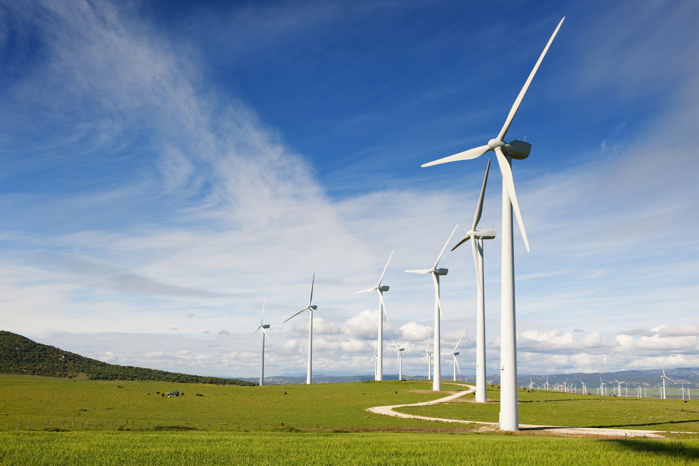 Auf einer weitläufigen Wiese stehen zahlreiche Windräder, die grünen Strom erzeugen.