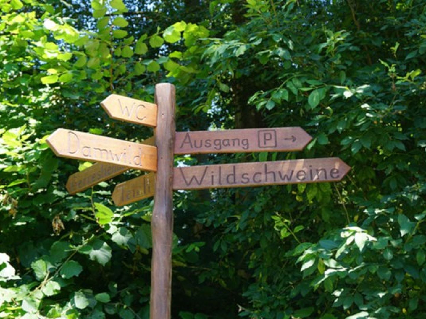 Wegweiser im Wildpark. © Gartenamt Stadt Düsseldorf