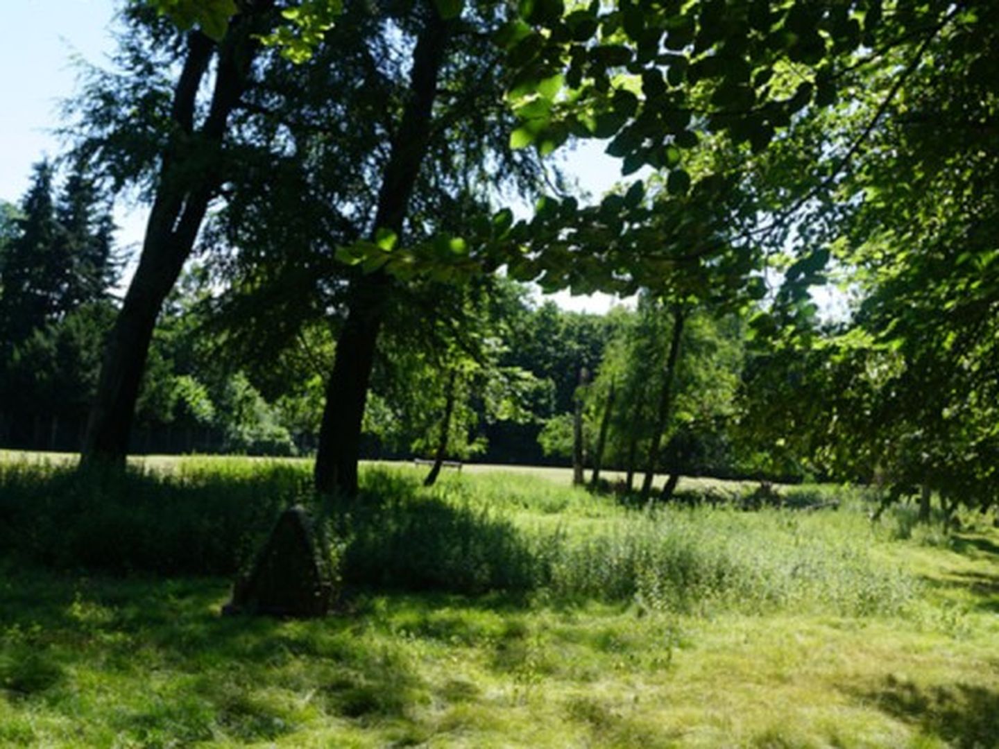 Blick in den Wildpark Grafenberg. © Gartenamt Stadt Düsseldorf