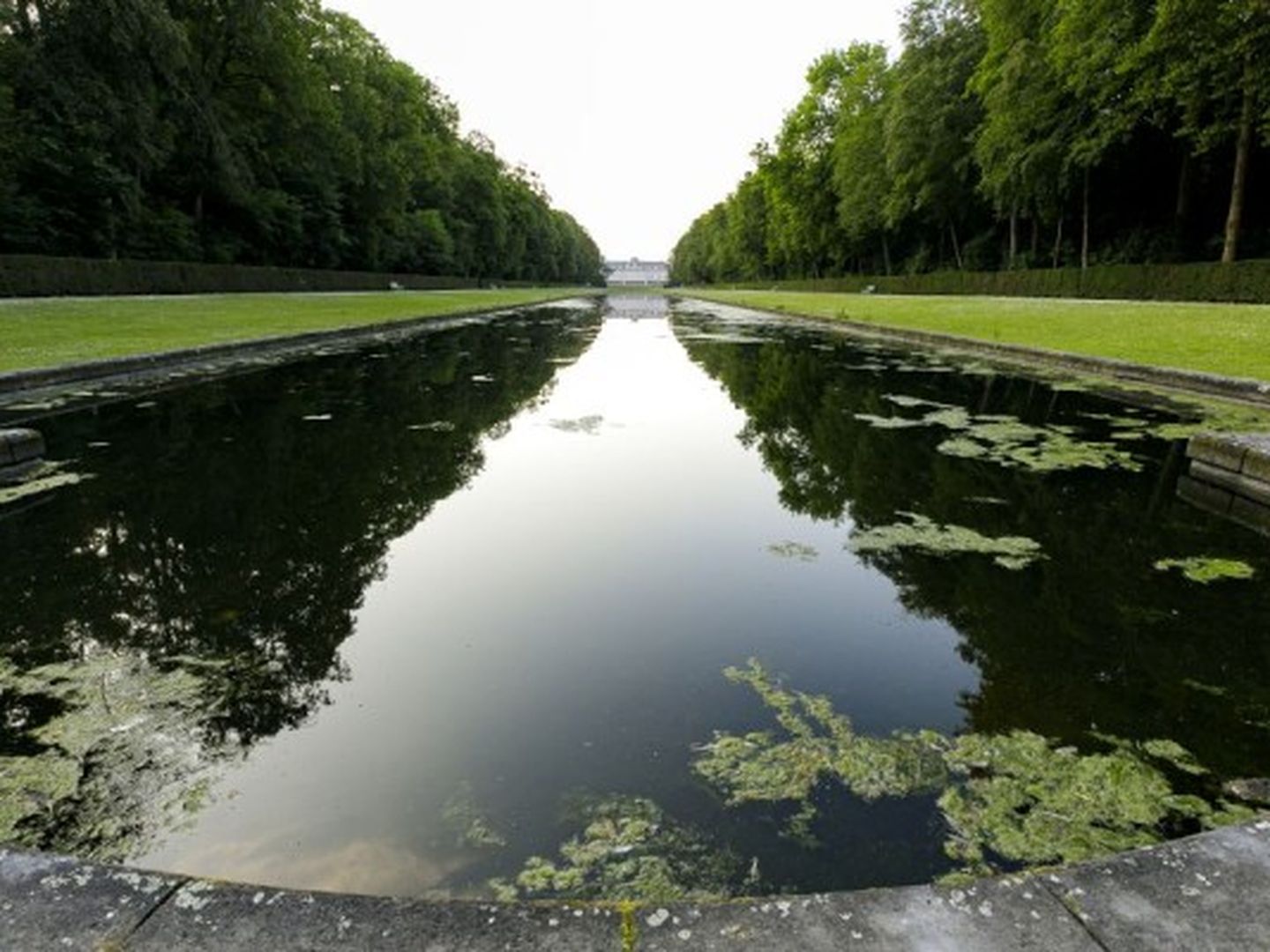Ein See in Düsseldorf Benrath.