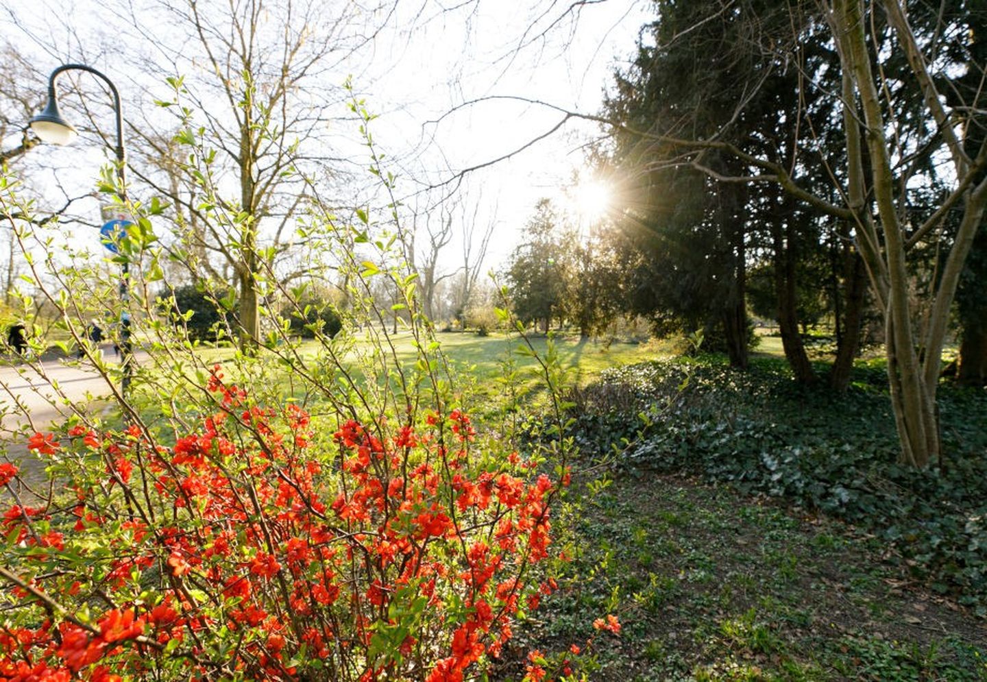 Der Volksgarten in Düsseldorf Oberbilk lädt zum Verweilen ein