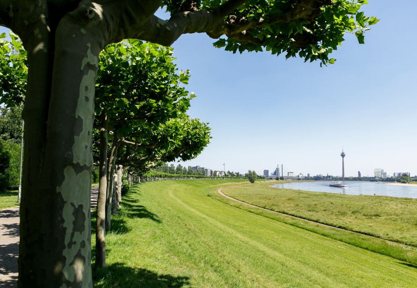 Rheinpromenade in Düsseldorf Heerdt mit Blick auf den Rheinturm