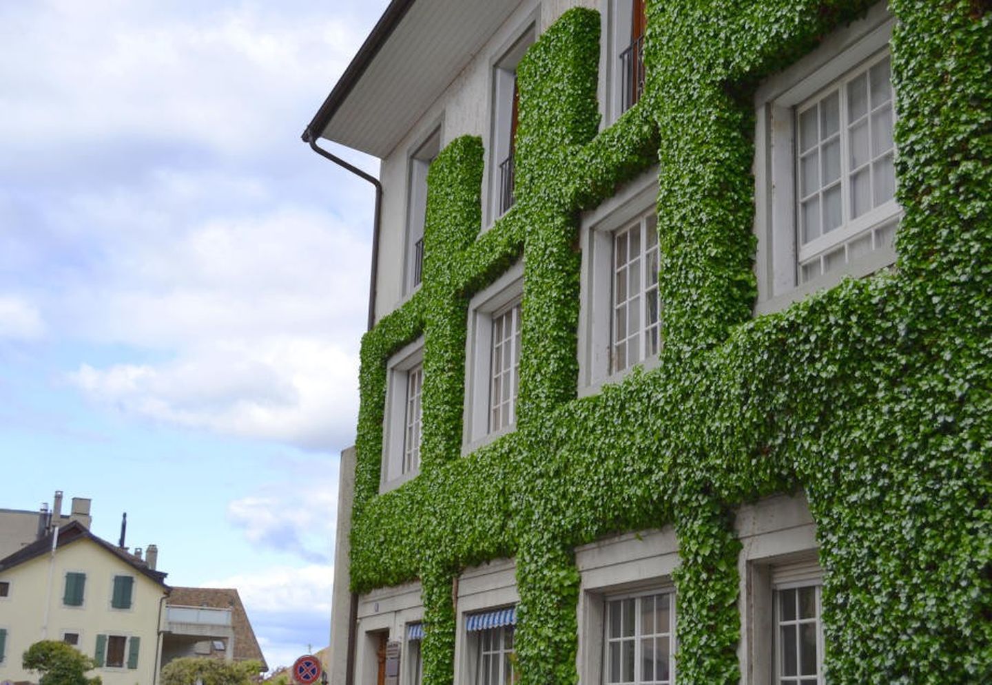 Zimmer kühlen ohne Klimaanlage: Außenfassade eines mit Efeu bewachsenen Hauses.