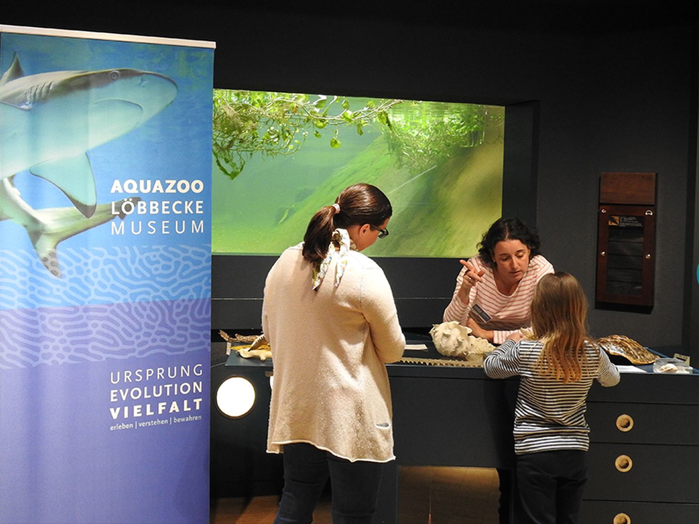 Eine Museumsmitarbeiterin erklärt Standbesuchern die Evolution der Schildkröten.