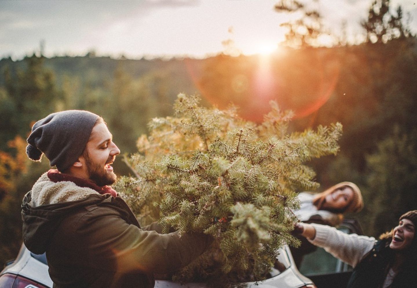 Junge Leute tragen einen selbst geschlagenen Tannenbaum durch den Wald