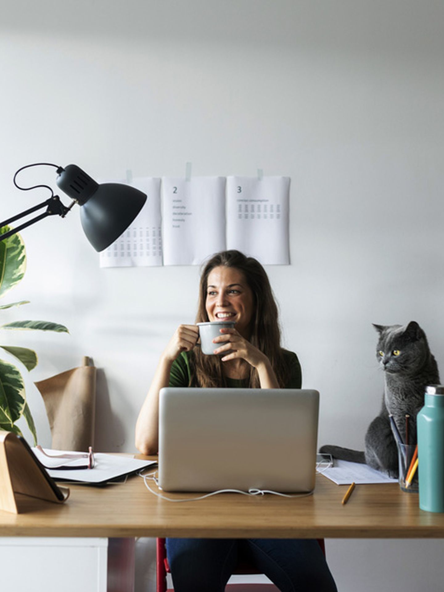 Eine Frau und ihre Katze im Homeoffice.