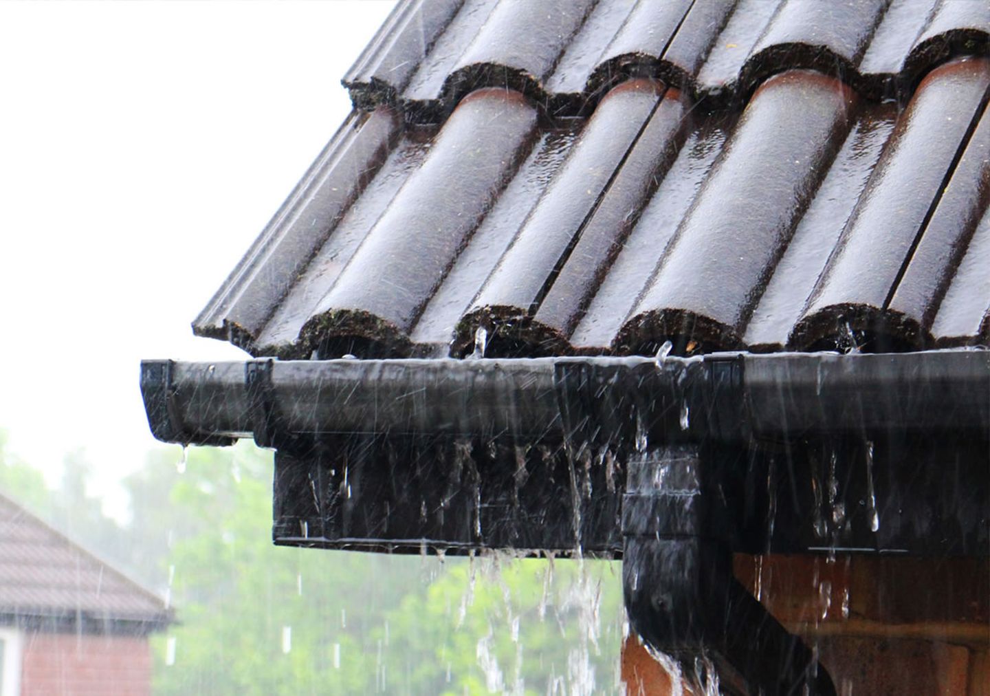 Warum den Regen nur in den Abfluss leiten? Wer einen Regendieb ans Fallrohr anschließt, sammelt das wertvolle Nass für die spätere Verwendung zum Gießen im Garten. 